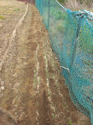 바람처럼님의 자유주제 · 자유게시판 작성글 사진