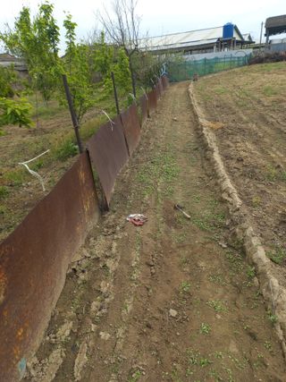 바람처럼님의 자유주제 · 자유게시판 작성글 사진