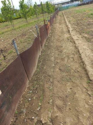 바람처럼님의 자유주제 · 자유게시판 작성글 사진