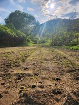 팜모닝 기타작물·영농일지 게시글 이미지