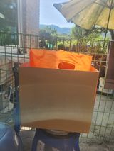 팜모닝 기타작물·영농일지 게시글 이미지