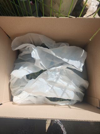 김상임님의 기타작물 · 영농일지 작성글 사진