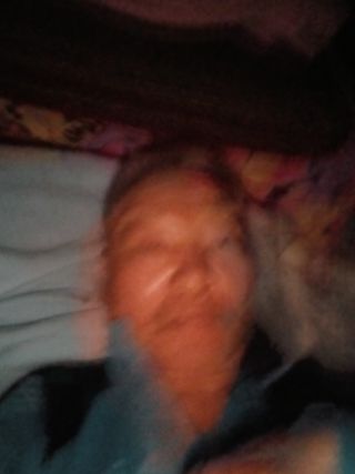 한근극님의 고추 · 토양준비 작성글 사진