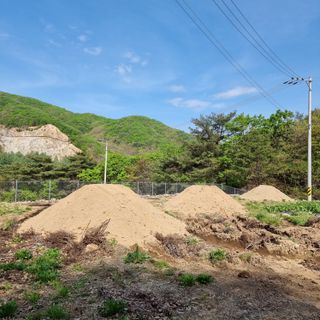 이종권님의 자유주제 · 자유게시판 작성글 사진