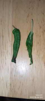 팜모닝 사과·병해충상담 게시글 이미지