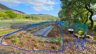 은태농장님의 자유주제 · 자유게시판 작성글 사진