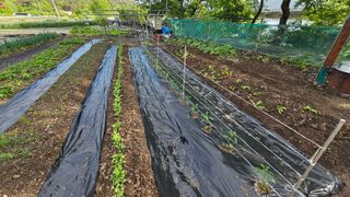 은태농장님의 자유주제 · 자유게시판 작성글 사진