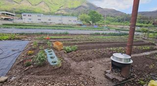 은태농장님의 자유주제 · 자유게시판 작성글 사진