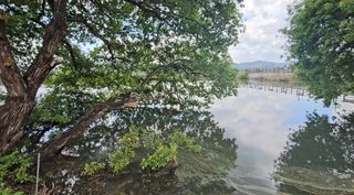 은태농장님의 자유주제 · 자유게시판 작성글 사진