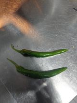 팜모닝 자유주제·자유게시판 게시글 이미지