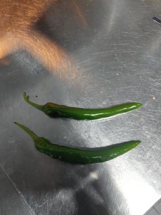 이강선님의 자유주제 · 자유게시판 작성글 사진