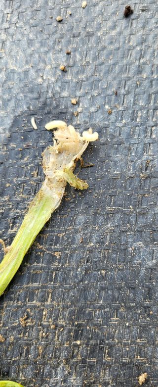 박희정님의 자유주제 · 자유게시판 작성글 사진