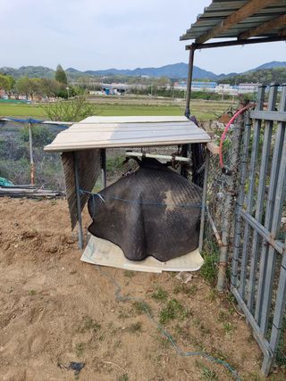초보퍼머5도2촌준비님의 자유주제 · 사진전 작성글 사진