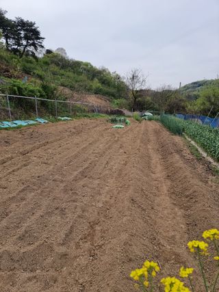 초보퍼머5도2촌준비님의 자유주제 · 사진전 작성글 사진