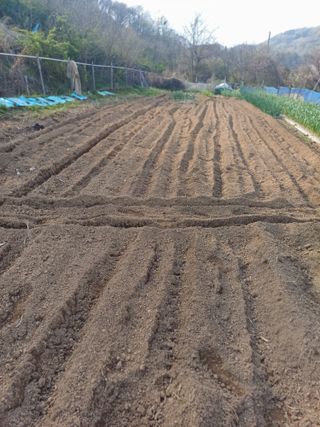 초보퍼머5도2촌준비님의 자유주제 · 사진전 작성글 사진