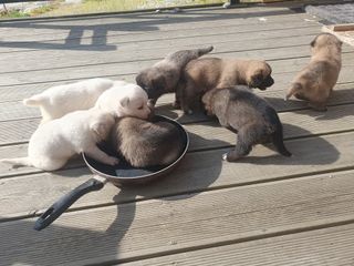 사과짱님의 자유주제 · 자유게시판 작성글 사진