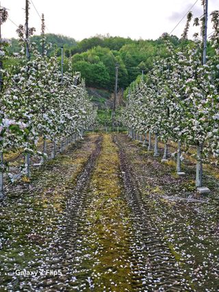 정상붕님의 자유주제 · 자유게시판 작성글 사진