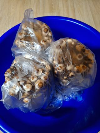 욕심내지말자님의 자유주제 · 자유게시판 작성글 사진