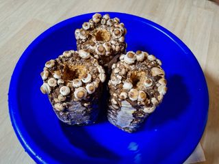 욕심내지말자님의 자유주제 · 자유게시판 작성글 사진