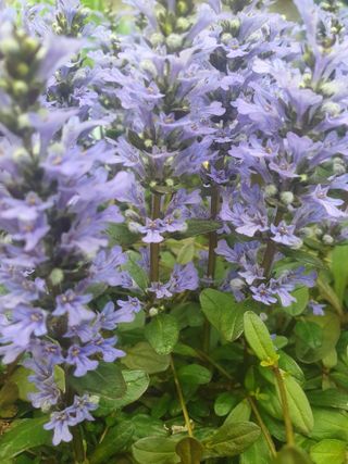 남 샘결 개둥맘님의 자유주제 · 자유게시판 작성글 사진