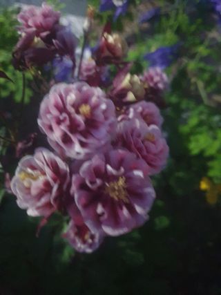 남 샘결 개둥맘님의 자유주제 · 자유게시판 작성글 사진