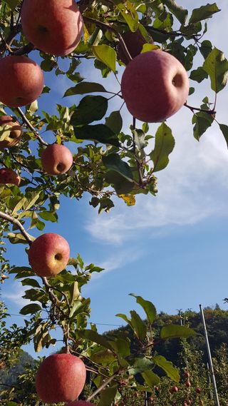 스마일님의 그곳에서 농사하게 된 계기는? · 참여글 작성글 사진
