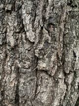 팜모닝 자유주제·사진전 게시글 이미지