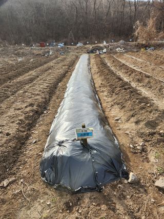 손예스터님의 그곳에서 농사하게 된 계기는? · 참여글 작성글 사진