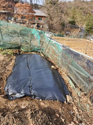 손예스터님의 그곳에서 농사하게 된 계기는? · 참여글 작성글 사진