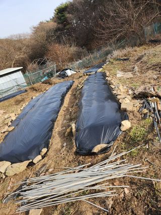 손예스터님의 그곳에서 농사하게 된 계기는? · 참여글 작성글 사진