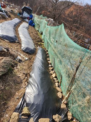 손예스터님의 그곳에서 농사하게 된 계기는? · 참여글 작성글 사진