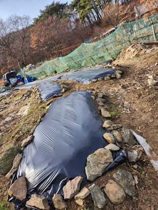 손예스터님의 그곳에서 농사하게 된 계기는? · 참여글 작성글 사진