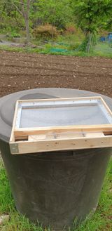 팜모닝 자유주제·자유게시판 게시글 이미지