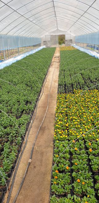 알 수 없음님의 자유주제 · 자유게시판 작성글 사진