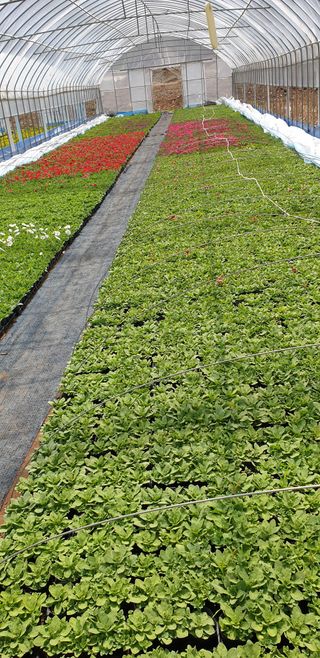 알 수 없음님의 자유주제 · 자유게시판 작성글 사진