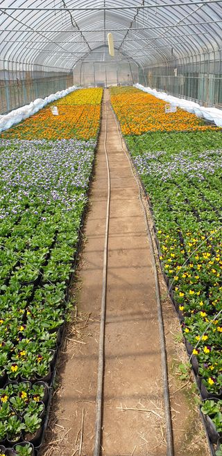 알 수 없음님의 자유주제 · 자유게시판 작성글 사진