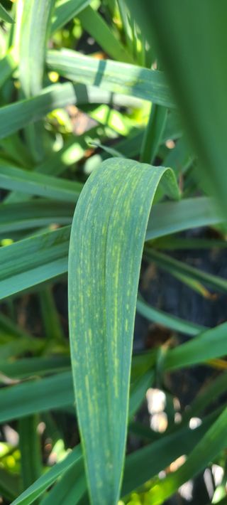 박우형님의 자유주제 · 자유게시판 작성글 사진