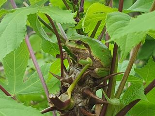 안씨농원님의 자유주제 · 사진전 작성글 사진