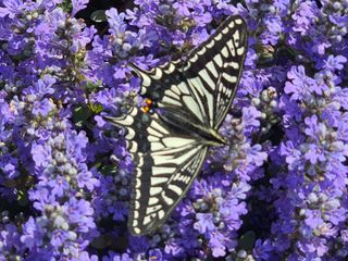 안씨농원님의 자유주제 · 사진전 작성글 사진