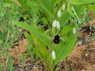 안씨농원님의 자유주제 · 사진전 작성글 사진