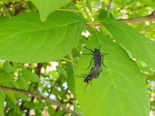 안씨농원님의 자유주제 · 사진전 작성글 사진