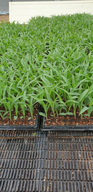 알 수 없음님의 자유주제 · 자유게시판 작성글 사진