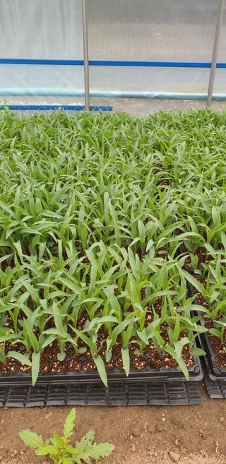 알 수 없음님의 자유주제 · 자유게시판 작성글 사진