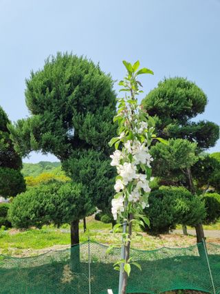 연산나무농장님의 자유주제 · 자유게시판 작성글 사진