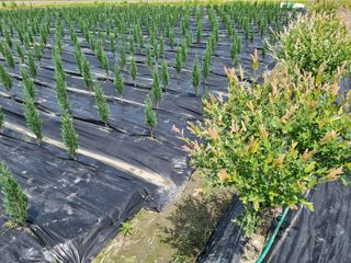 연산나무농장님의 자유주제 · 자유게시판 작성글 사진