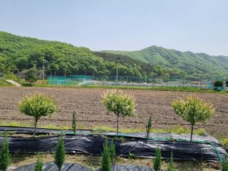 연산나무농장님의 자유주제 · 자유게시판 작성글 사진