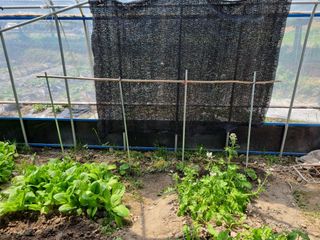 연산나무농장님의 자유주제 · 자유게시판 작성글 사진