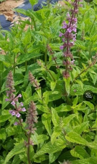 박동현님의 작성글 사진