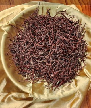 박동현님의 작성글 사진