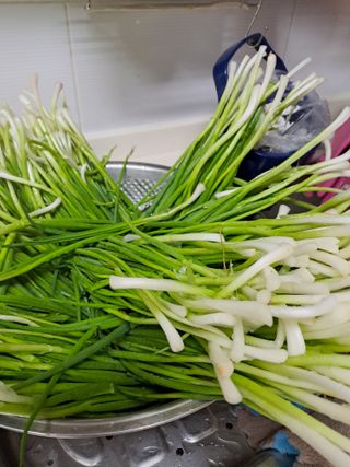 강정희님의 자유주제 · 자유게시판 작성글 사진